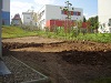 zahrada v Praze od projektu po realizaci